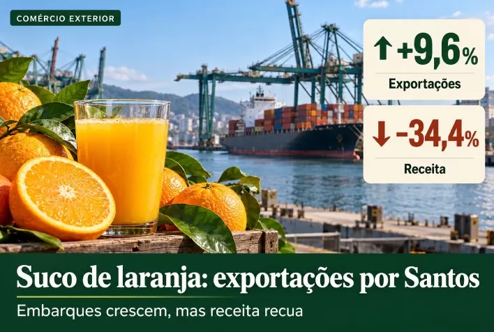 Exportações de suco de laranja por Santos crescem 9,6%, mas receita cai 34,4%