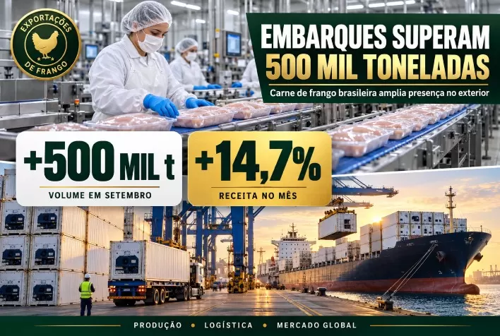 Exportações de carne de frango superam 500 mil toneladas em setembro e receita cresce 14,7%