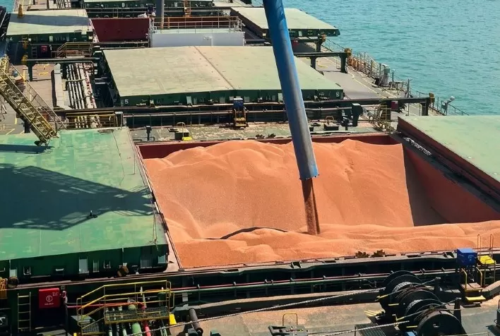 Exportações de sorgo à China ampliam oportunidades para a safrinha brasileira