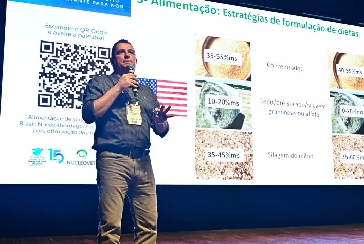 Nutrição de vacas leiteiras: pesquisas apontam avanços no uso de amido e fibra