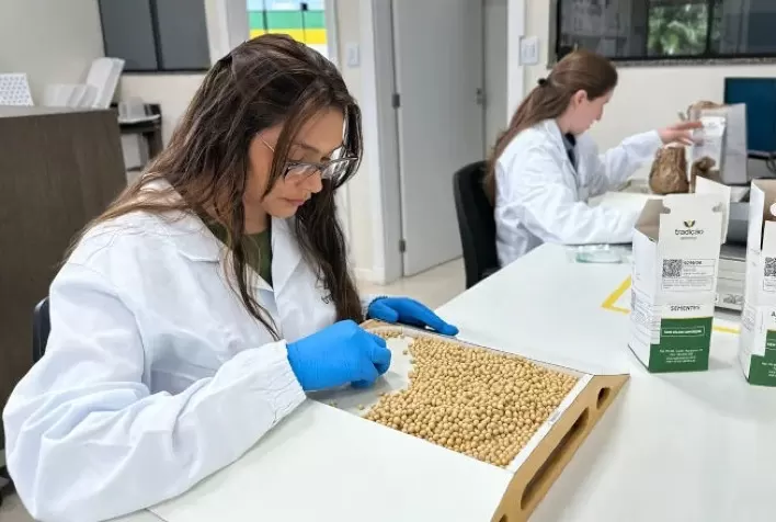 Tradição Sementes renova registro no Renasem e mantém controle de qualidade dos lotes