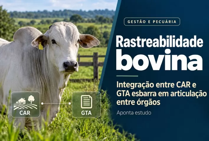 Rastreabilidade bovina: integração entre CAR e GTA esbarra em articulação entre órgãos, aponta estudo