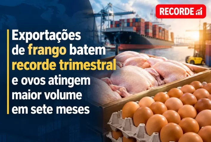 Exportações de frango batem recorde trimestral e ovos atingem maior volume em sete meses