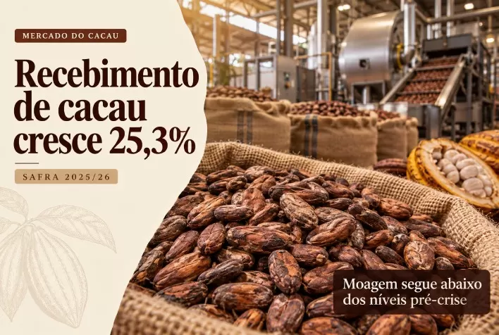 Recebimento de cacau cresce 25,3% na safra 2025/26, mas moagem ainda está abaixo dos níveis pré-crise