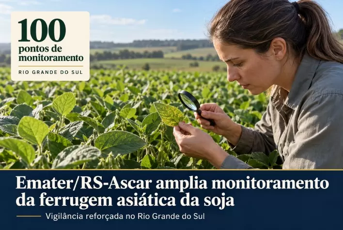 Emater/RS-Ascar amplia monitoramento da ferrugem asiática da soja para 100 pontos no Rio Grande do Sul