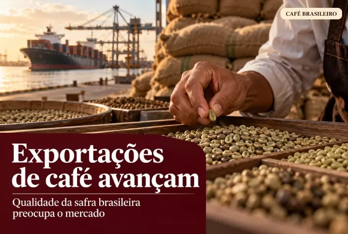 Exportações de café do Brasil avançam, mas qualidade da safra preocupa o mercado