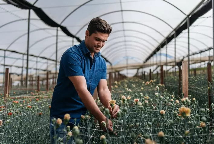 Flores na primavera: sazonalidade amplia oferta e orienta produção em setor de R$ 23,35 bilhões