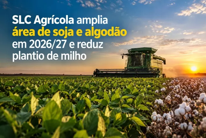SLC Agrícola amplia área de soja e algodão em 2026/27 e reduz plantio de milho