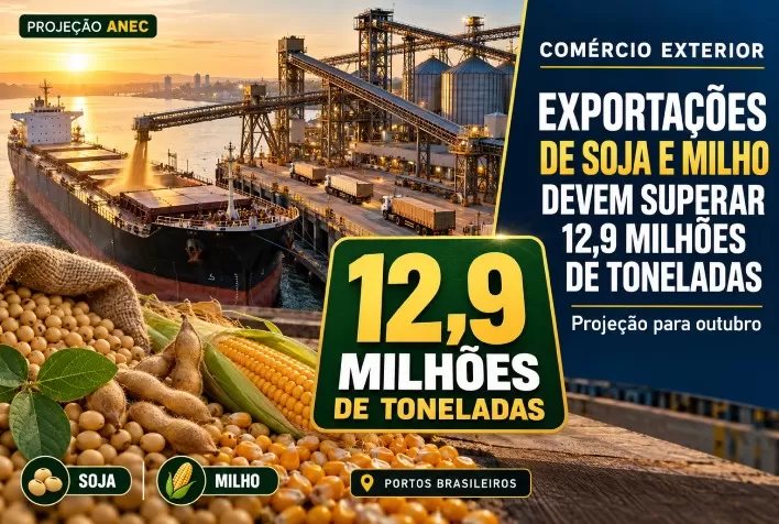 Exportações de soja e milho devem superar 12,9 milhões de toneladas em outubro, projeta ANEC
