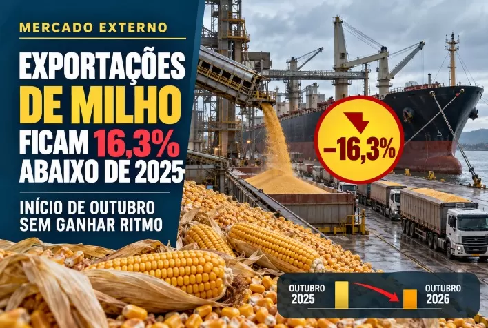 Exportações de milho ficam 16,3% abaixo de 2025 no início de outubro, sem ganhar ritmo