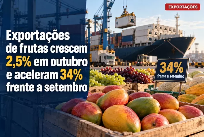 Exportações de frutas crescem 2,5% em outubro e aceleram 34% frente a setembro