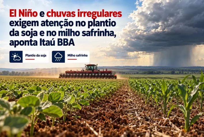 El Niño e chuvas irregulares exigem atenção no plantio da soja e no milho safrinha, aponta Itaú BBA