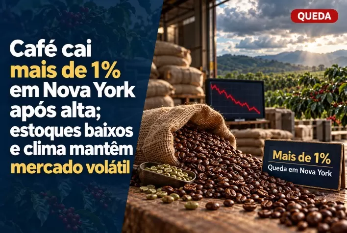Café cai mais de 1% em Nova York após alta; estoques baixos e clima mantêm mercado volátil