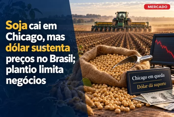 Soja cai em Chicago, mas dólar sustenta preços no Brasil; plantio limita negócios