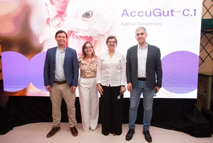 Coccidiose em aves: dsm-firmenich lança AccuGut C.1 para complementar programas de controle