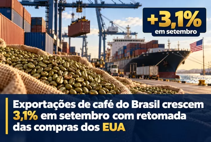 Exportações de café do Brasil crescem 3,1% em setembro com retomada das compras dos EUA