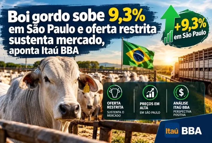Boi gordo sobe 9,3% em São Paulo e oferta restrita sustenta mercado, aponta Itaú BBA