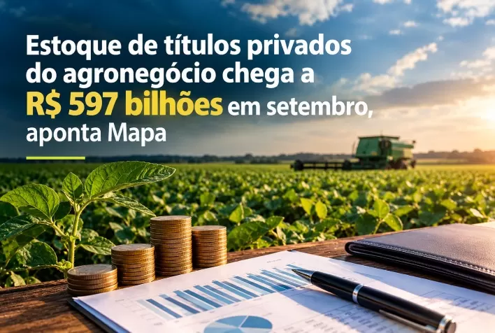 Estoque de títulos privados do agronegócio chega a R$ 597 bilhões em setembro, aponta Mapa