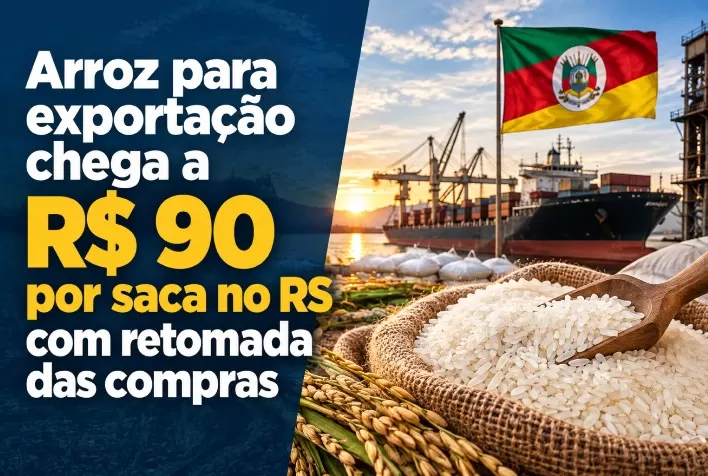 Arroz para exportação chega a R$ 90 por saca no RS com retomada das compras
