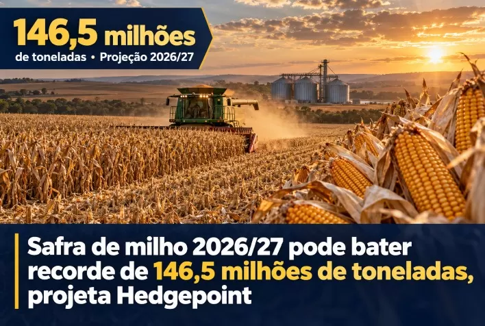 Safra de milho 2026/27 pode bater recorde de 146,5 milhões de toneladas, projeta Hedgepoint