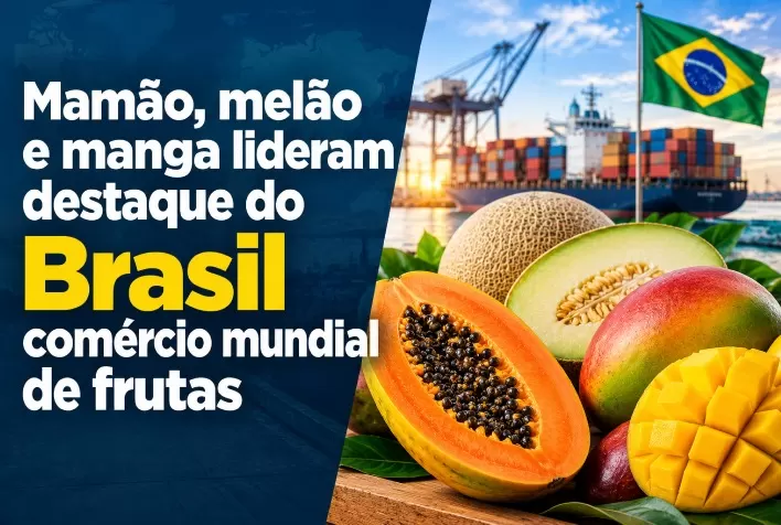 Mamão, melão e manga lideram destaque do Brasil no comércio mundial de frutas