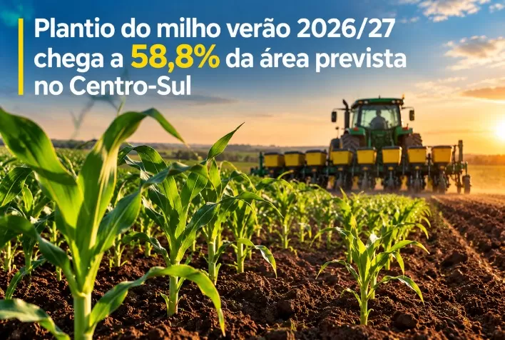 Plantio do milho verão 2026/27 chega a 58,8% da área prevista no Centro-Sul