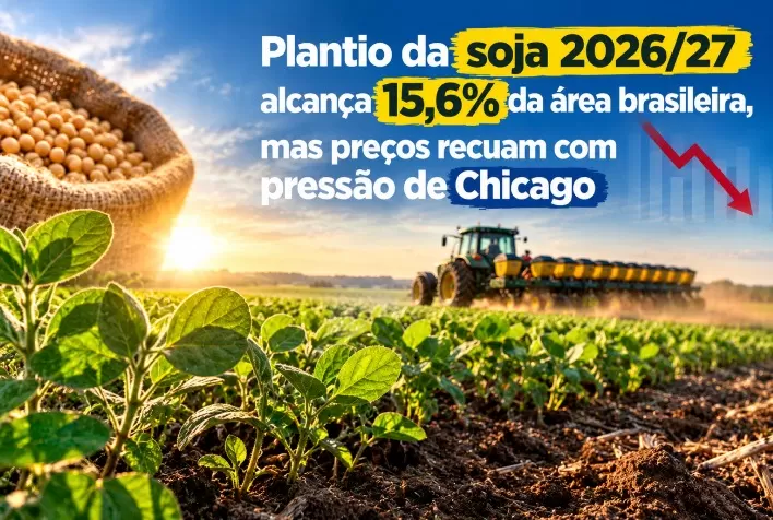 Plantio da soja 2026/27 alcança 15,6% da área brasileira, mas preços recuam com pressão de Chicago