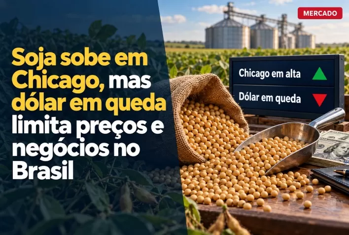 Soja sobe em Chicago, mas dólar em queda limita preços e negócios no Brasil