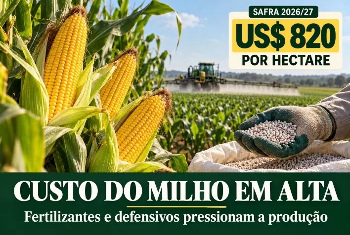 Safra 2026/27: fertilizantes e defensivos elevam custos do milho a US$ 820 por hectare