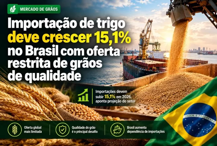 Importação de trigo deve crescer 15,1% no Brasil com oferta restrita de grãos de qualidade