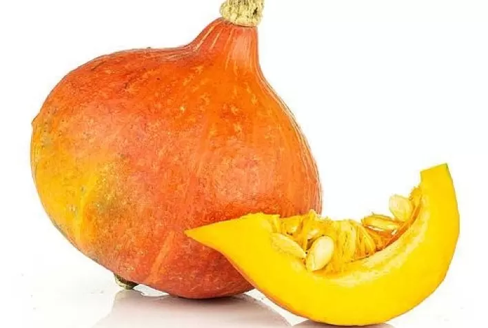 Outubro é época de plantar abóboras: conheça 6 variedades diferentes para cultivar em casa ou no campo