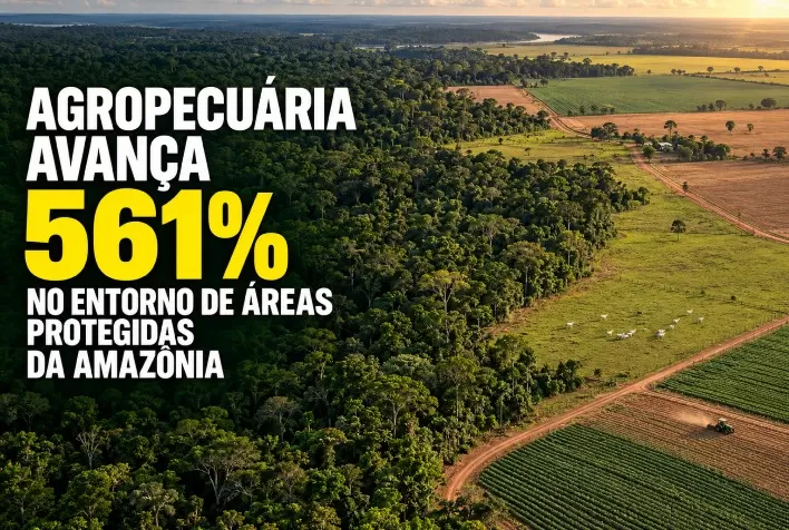 Agropecuária avança 561% no entorno de áreas protegidas da Amazônia, aponta MapBiomas