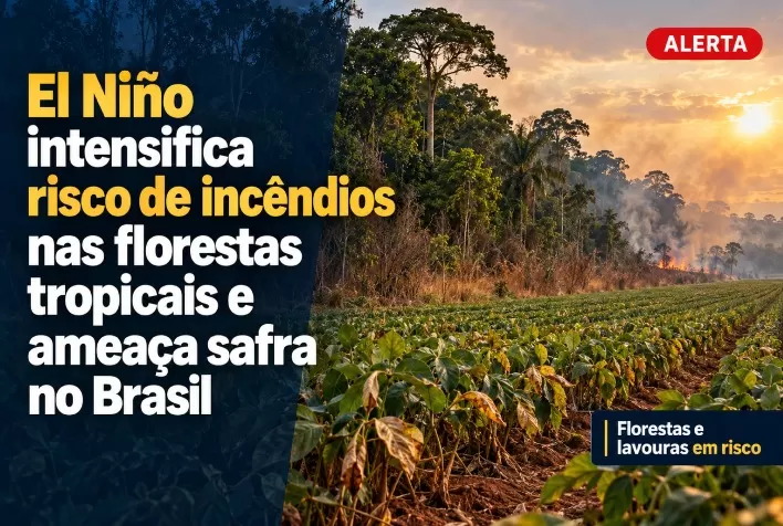 El Niño intensifica risco de incêndios nas florestas tropicais e ameaça safra no Brasil