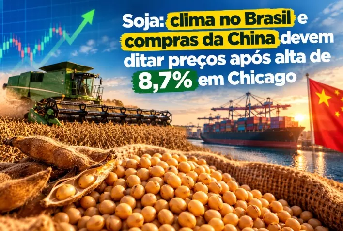 Soja: clima no Brasil e compras da China devem ditar preços após alta de 8,7% em Chicago