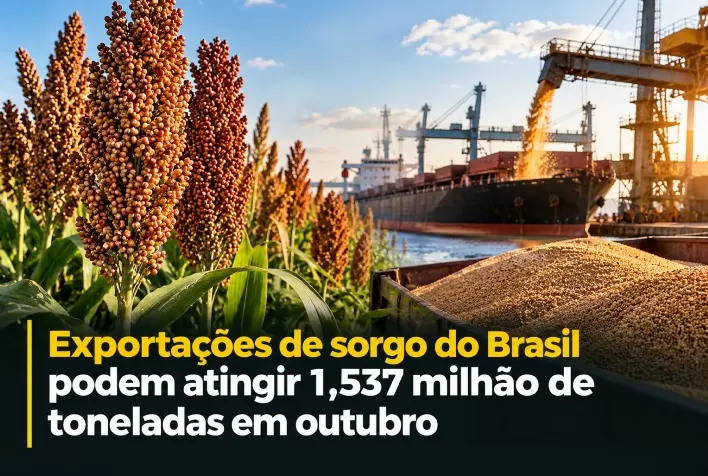 Exportações de sorgo do Brasil podem atingir 1,537 milhão de toneladas em outubro