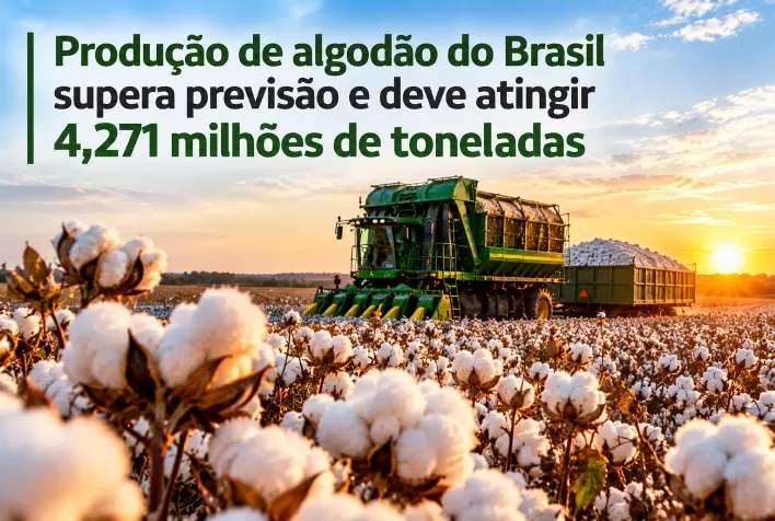 Produção de algodão do Brasil supera previsão e deve atingir 4,271 milhões de toneladas