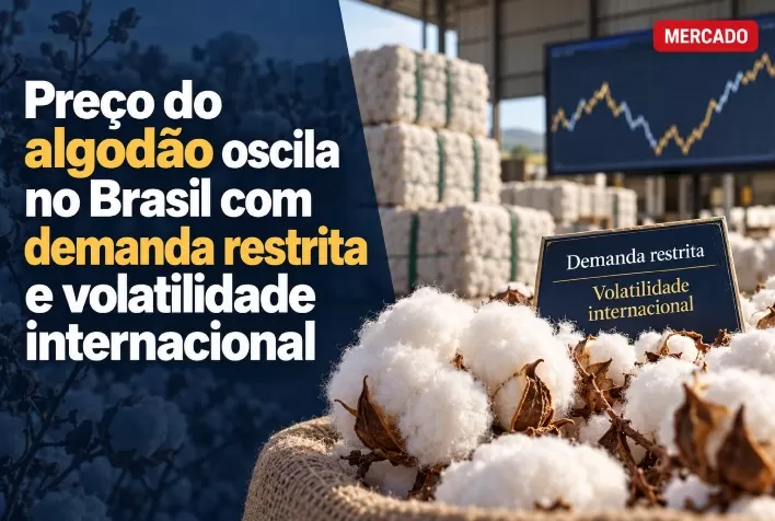 Preço do algodão oscila no Brasil com demanda restrita e volatilidade internacional