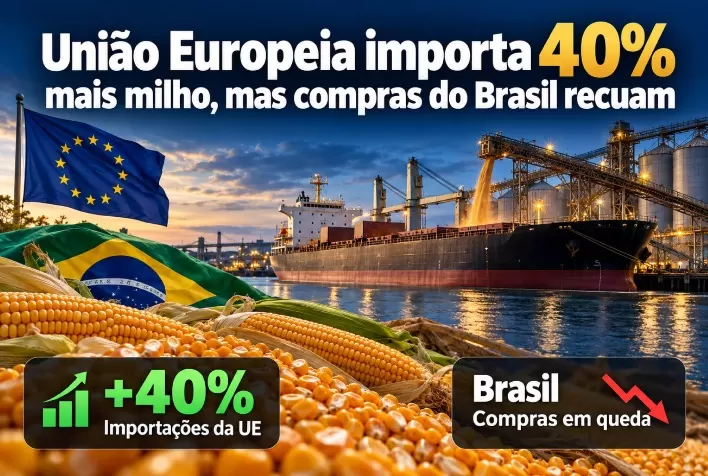 União Europeia importa 40% mais milho, mas compras do Brasil recuam