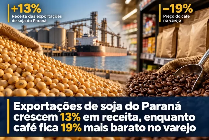 Exportações de soja do Paraná crescem 13% em receita, enquanto café fica 19% mais barato no varejo