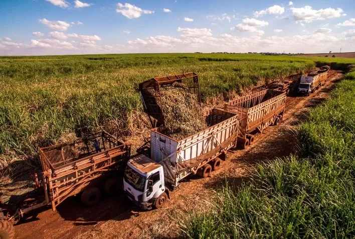 IoT no agronegócio deve movimentar US$ 549 milhões no Brasil até 2030