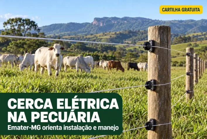 Cerca elétrica na pecuária: cartilha gratuita da Emater-MG orienta instalação e manejo