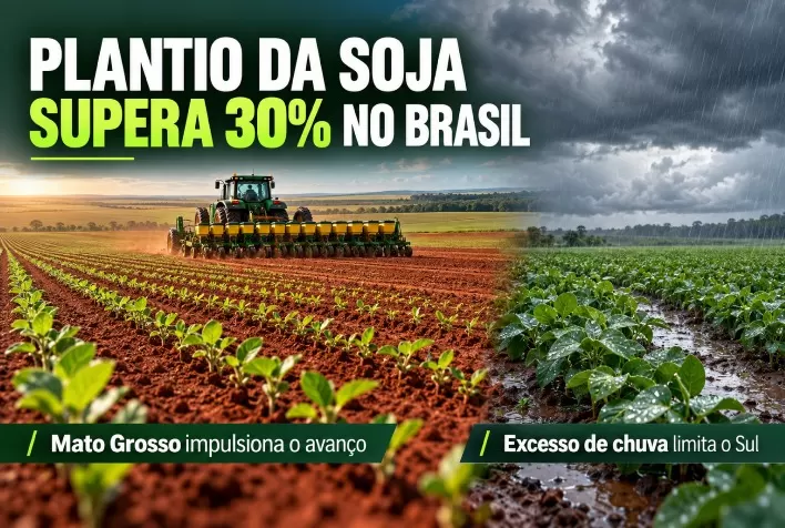 Plantio da soja supera 30% no Brasil com avanço em Mato Grosso; excesso de chuva limita o Sul