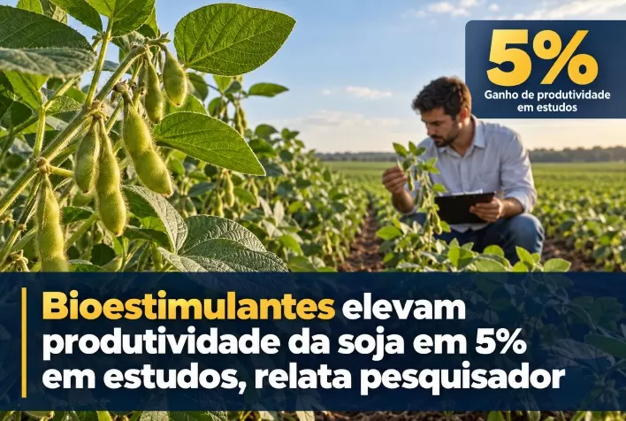 Bioestimulantes elevam produtividade da soja em 5% em estudos, relata pesquisador