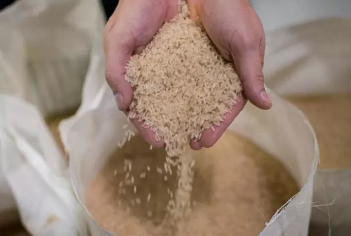 Preço do arroz cai no RS e diferença entre padrões de qualidade recua para R$ 0,58 por saca