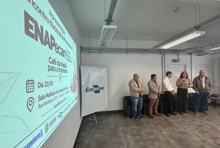 ENAPecan reúne setor da noz-pecã no RS após safra estimada em até 7 mil toneladas