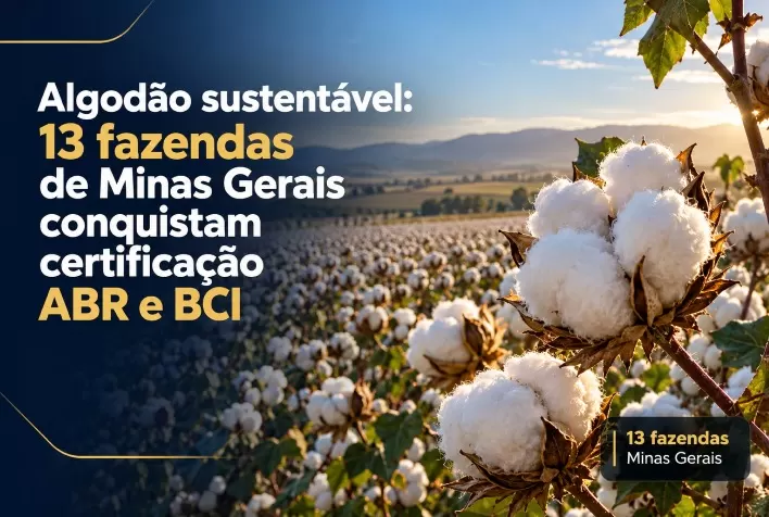 Algodão sustentável: 13 fazendas de Minas Gerais conquistam certificação ABR e BCI