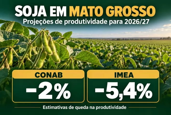 Soja em Mato Grosso: Conab prevê queda de 2% na produtividade em 2026/27, e Imea estima recuo de 5,4%