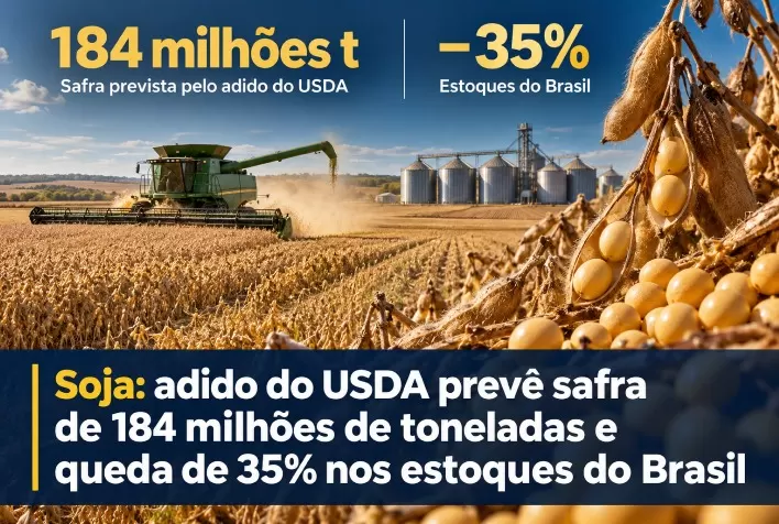 Soja: adido do USDA prevê safra de 184 milhões de toneladas e queda de 35% nos estoques do Brasil