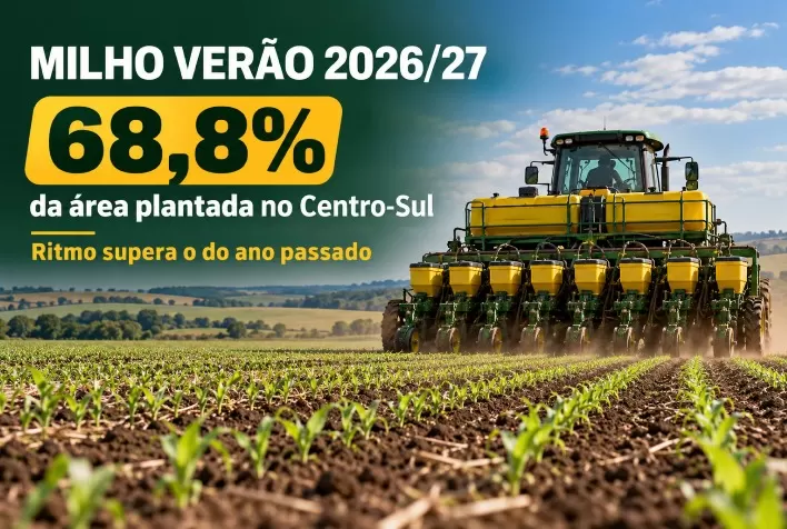 Plantio do milho verão 2026/27 chega a 68,8% no Centro-Sul e supera ritmo do ano passado
