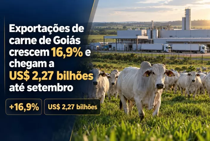Exportações de carne de Goiás crescem 16,9% e chegam a US$ 2,27 bilhões até setembro